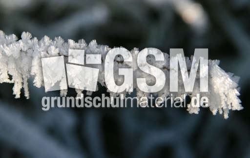 Winterimpressionen 056.jpg